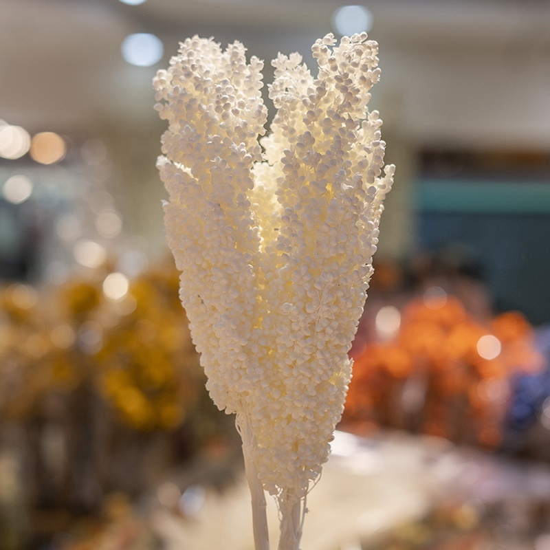 Decorative flowers Arrangement Real Natural Dried Broom Corn Dried Grains Sprays Bleached Sorghum Flowers