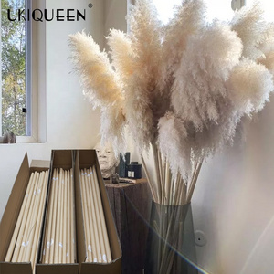 Tall Fluffy Small Beige Home Wedding Decor 45-120cm Natural Faux Artificial Dried Flowers Pampasgras Pampass Large Pampas Grass