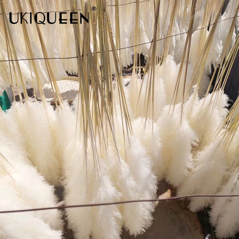 Tall Fluffy Small Beige Home Wedding Decor 45-120cm Natural Faux Artificial Dried Flowers Pampasgras Pampass Large Pampas Grass