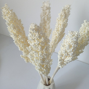 Decorative flowers Arrangement Real Natural Dried Broom Corn Dried Grains Sprays Bleached Sorghum Flowers