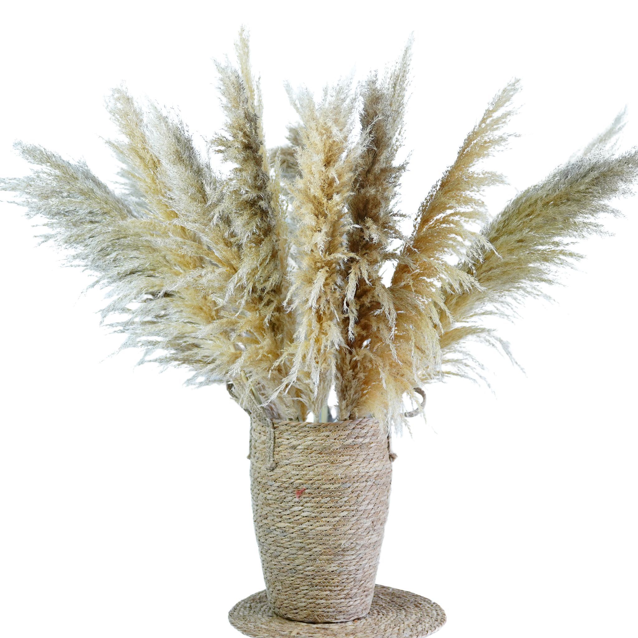 A new store opened   Tall Natural Pampas Grass  Fluffy artificial dried pampas grass for flower arrangement home decor