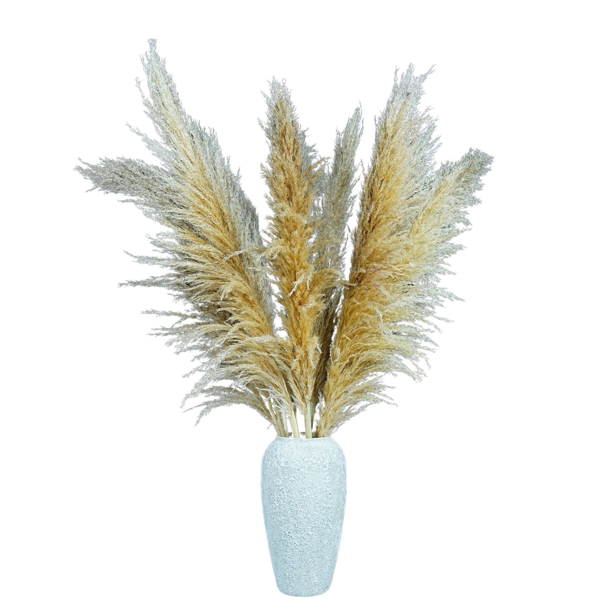 A new store opened   Tall Natural Pampas Grass  Fluffy artificial dried pampas grass for flower arrangement home decor