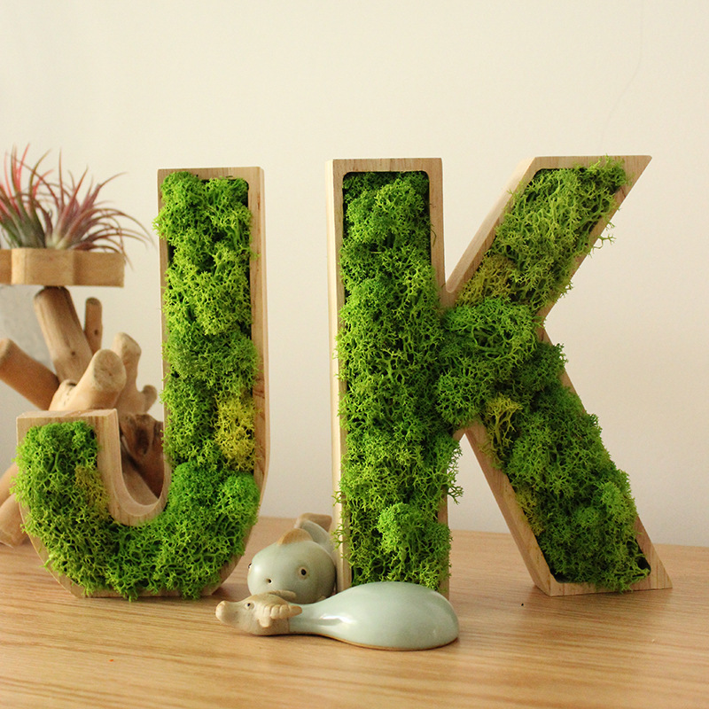 Wooden letters immortal moss logo advertising word DIY decorative ornaments wall stickers preserved moss wall