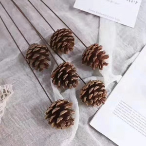 Natural Dried Flowers Deal Apple  Wholesale Flower Foliage Dried Pine cone with Stem