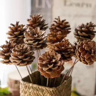 Natural Dried Flowers Deal Apple  Wholesale Flower Foliage Dried Pine cone with Stem