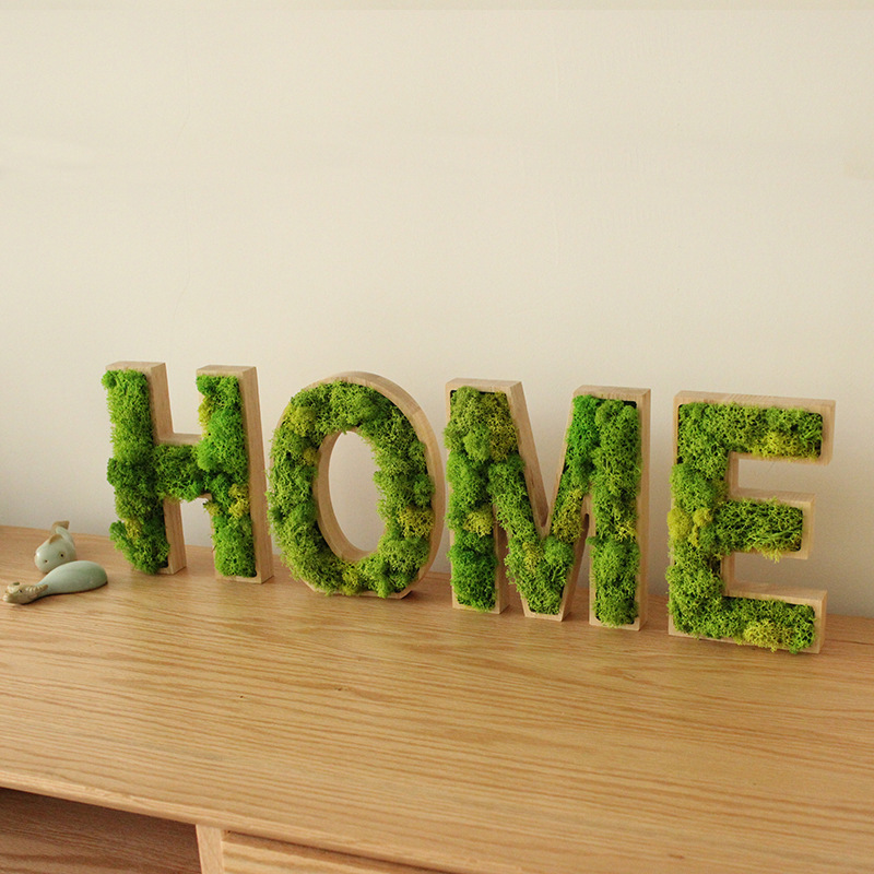 Wooden letters immortal moss logo advertising word DIY decorative ornaments wall stickers preserved moss wall