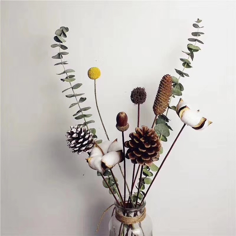 Natural Dried Flowers Deal Apple  Wholesale Flower Foliage Dried Pine cone with Stem