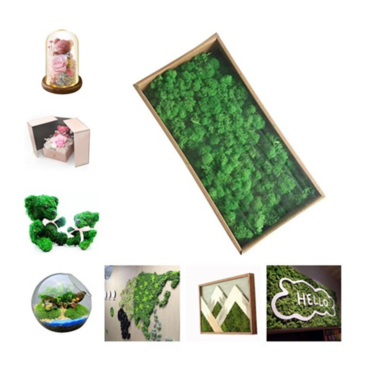 Natural Norwegian Reindeer Moss Preserved Dried Craft Flower Stamen Decoration