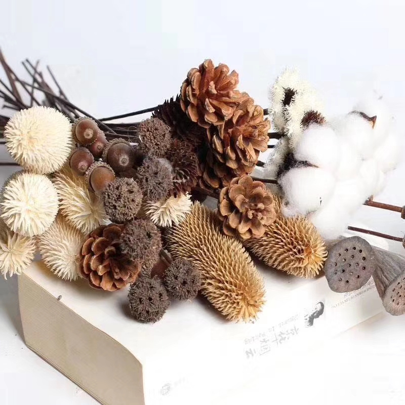 Natural Dried Flowers Deal Apple  Wholesale Flower Foliage Dried Pine cone with Stem