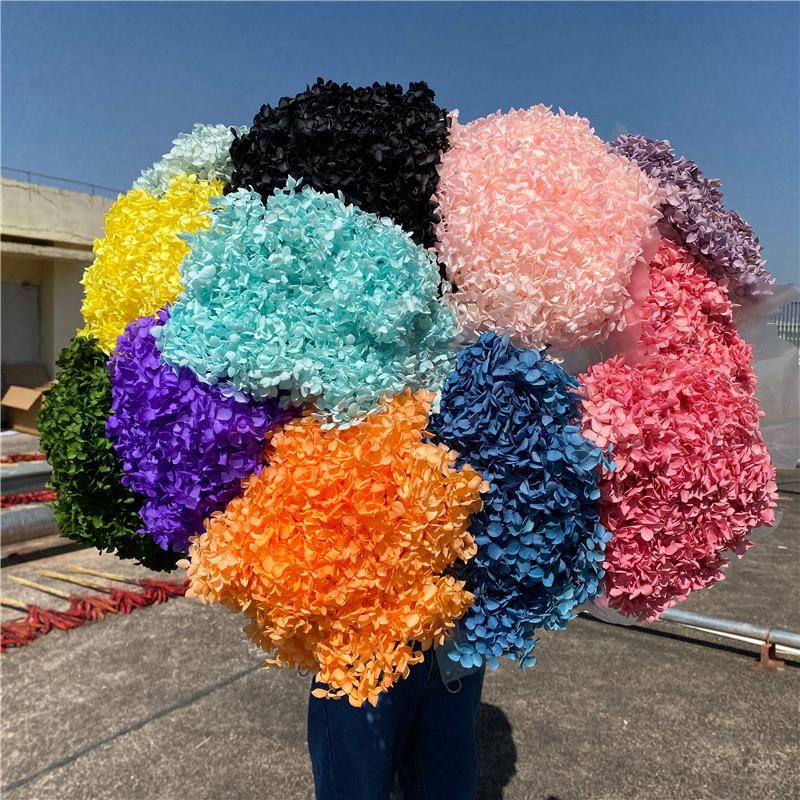 Yunnan  DIY Dried Flower Hydrangea Preserved Hydrangea Silk Hydrangea  For Flower Wall