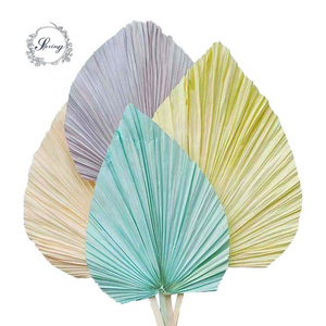 Ins hot selling colorful decorative palm leaves natural dried fan palm leaves for wedding decor