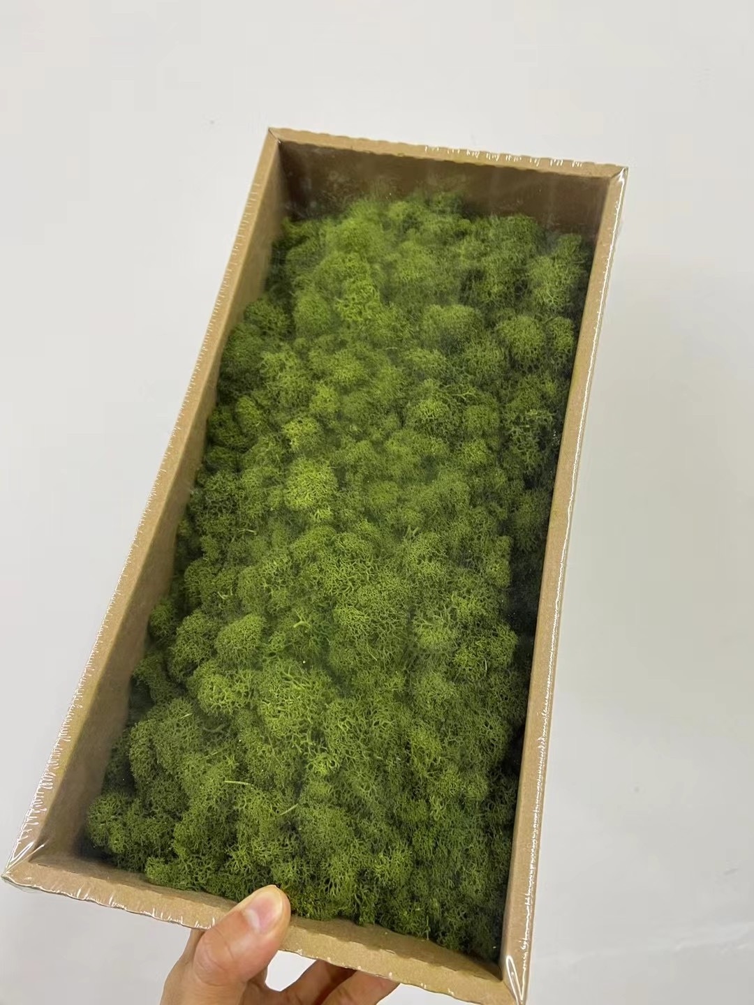 preserved moss 5 year real natural stabilized decor reindeer moss wall green wholesale preserved moss for office wall decor