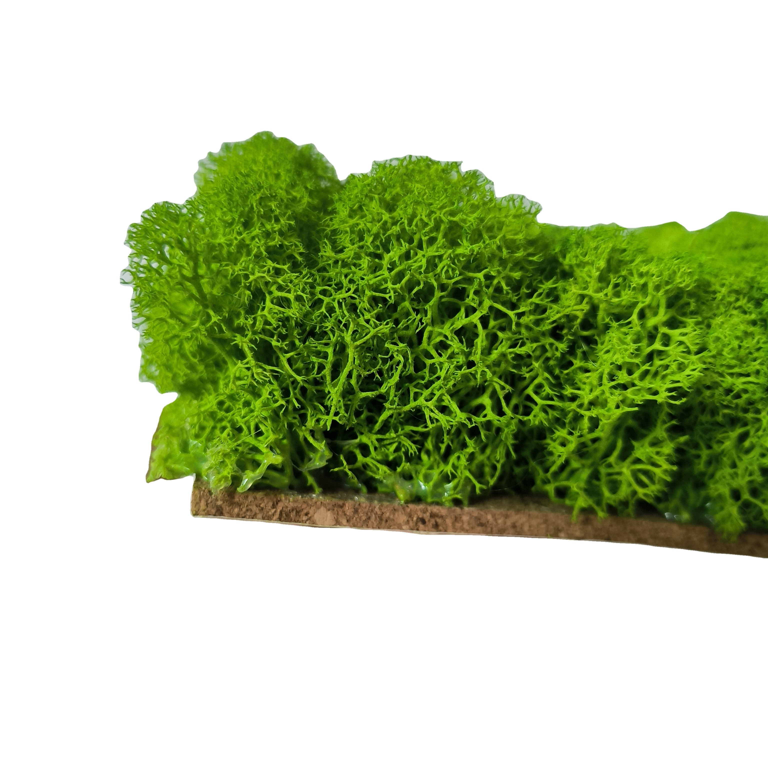 factory customize grade AA quality real natural permanent stabilized moss wall preserved reindeer moss wall panel for decor