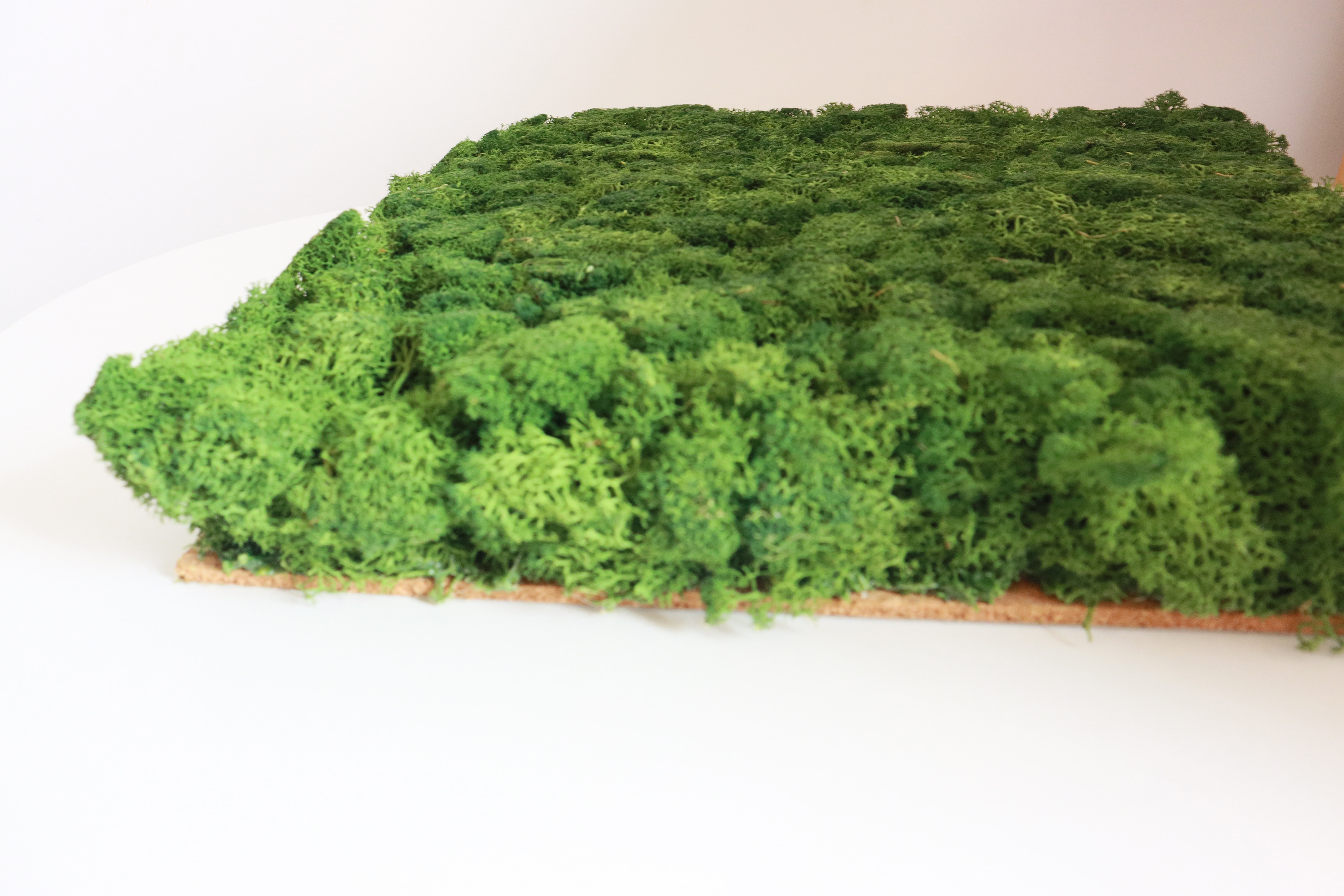 factory wholesale preserved moss sheets moss wall art natural real preserved moss panel for wall home office mall decoration