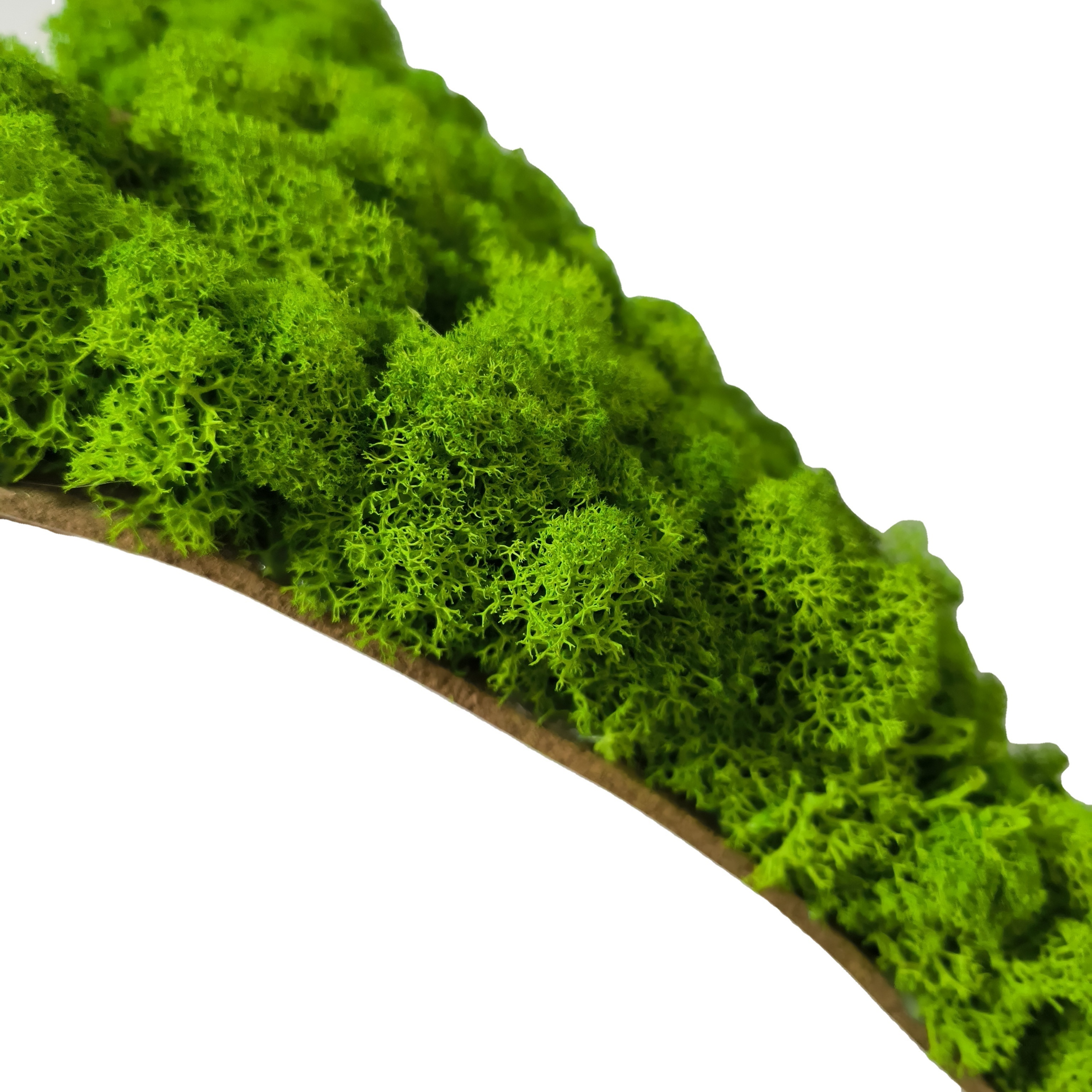 factory customize grade AA quality real natural permanent stabilized moss wall preserved reindeer moss wall panel for decor