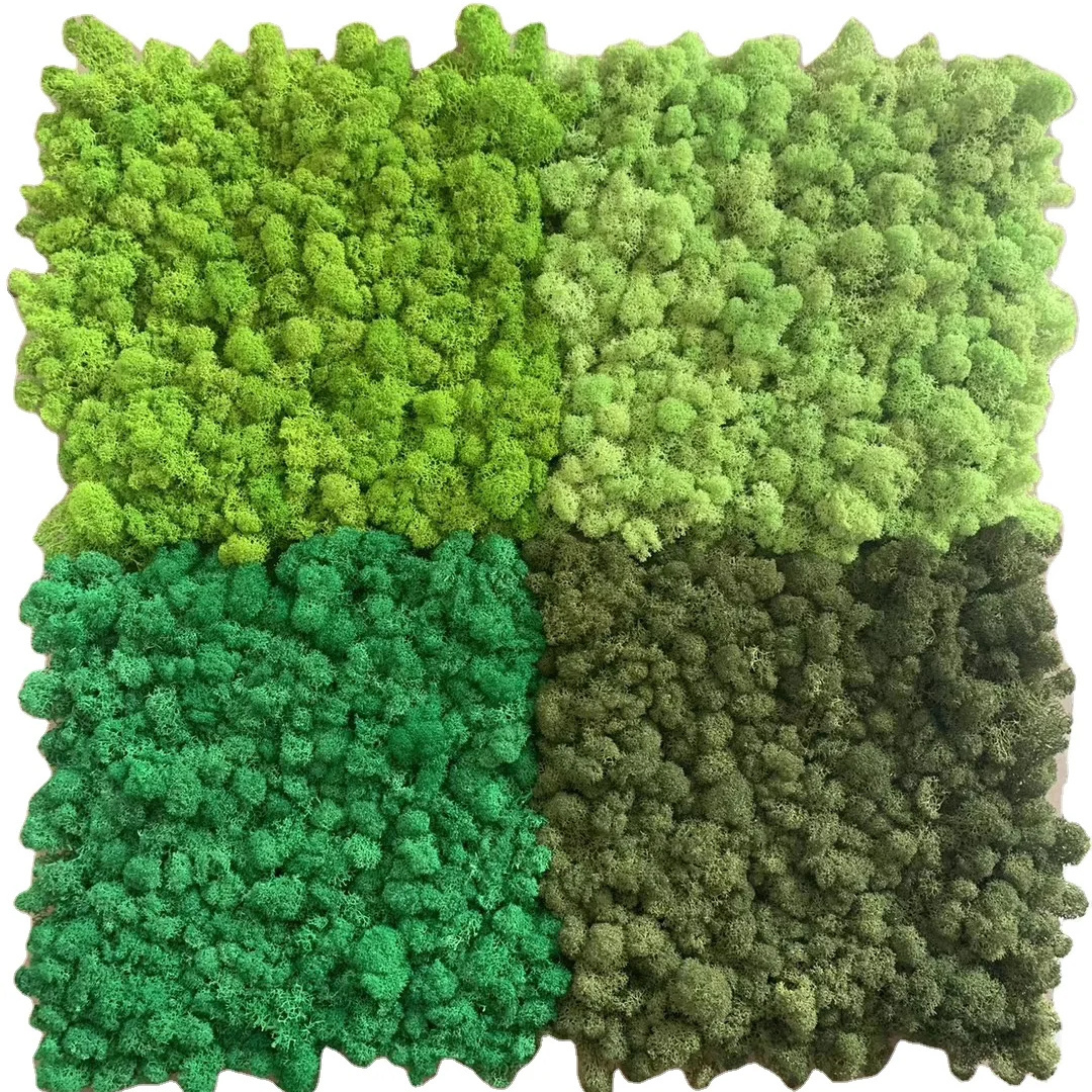 high density consistent coloring reindeer moss wall green panel real natural preserved moss panel stabilized moss art wall