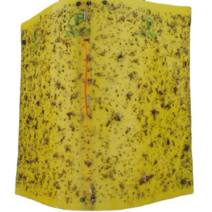 Effectively insect glue trap aphids sticky board for agriculture pest control equipment