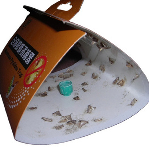 Non toxic food moth pheromone lure insect catcher