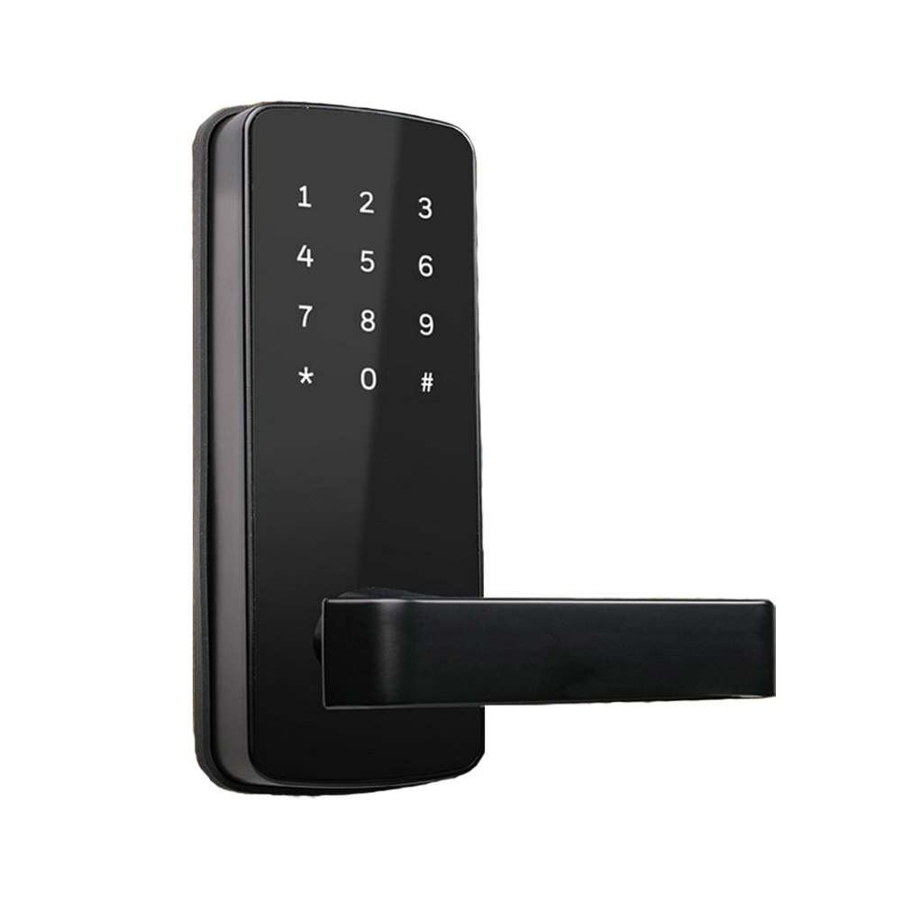 Smart Ble Door Lock Electronic Digital Touch Keypad Deadblot Korea Style Wifi App Control Keyless Entry Door Locks