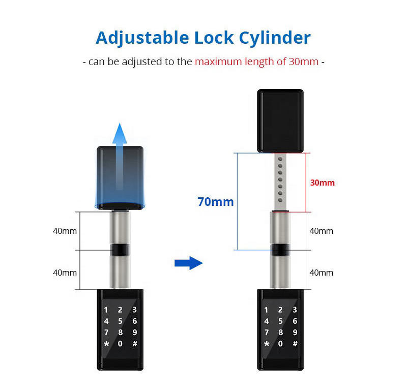 Newest Design Gold Smart Cylinder Lock Euro Cylinder Lock  Adjustable Brass Fingerprint Door Lock C36C