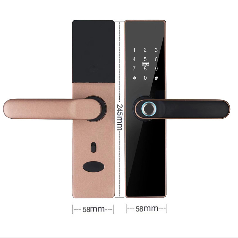 Intelligent Fingerprint Smart Door lock Blue tooth Password Keyless Apartment TTlock Tuya WiFi APP Digital Door Lock