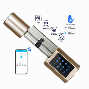 Waterproof Door Cylinder Lock Silver Grey Gold Color BLE Password Digital Electric Mortise Ttlock APP Cylinder Smart Lock C05C