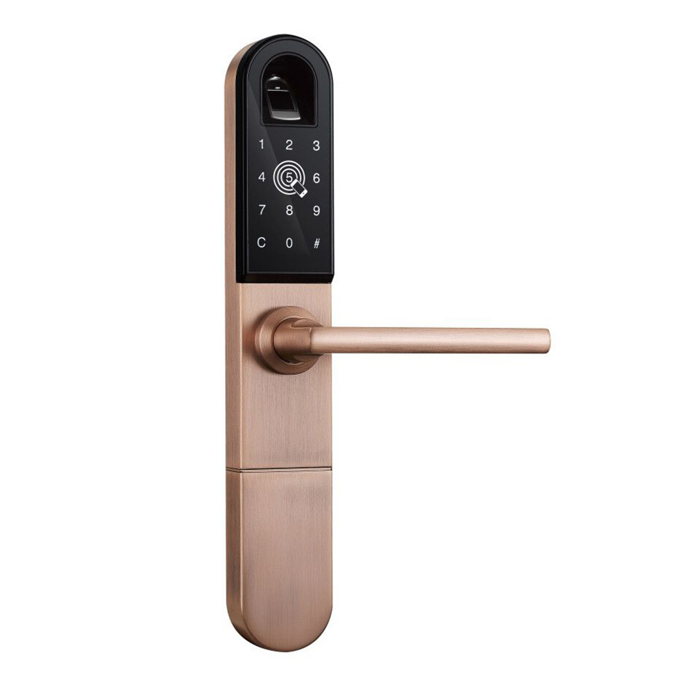 Fingerprint Smart Door Electronic Digital Door Lock Keyless Entry System Electric Door Lock