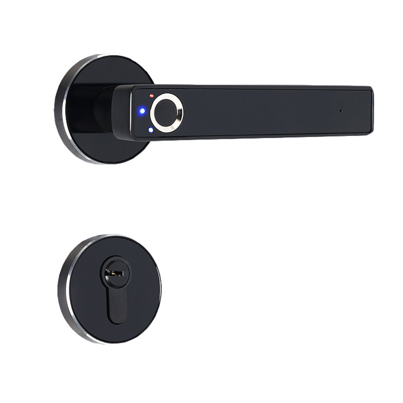 European Standard Mortisel Smart Electronic Fingerprint Handle Door Lock for Home