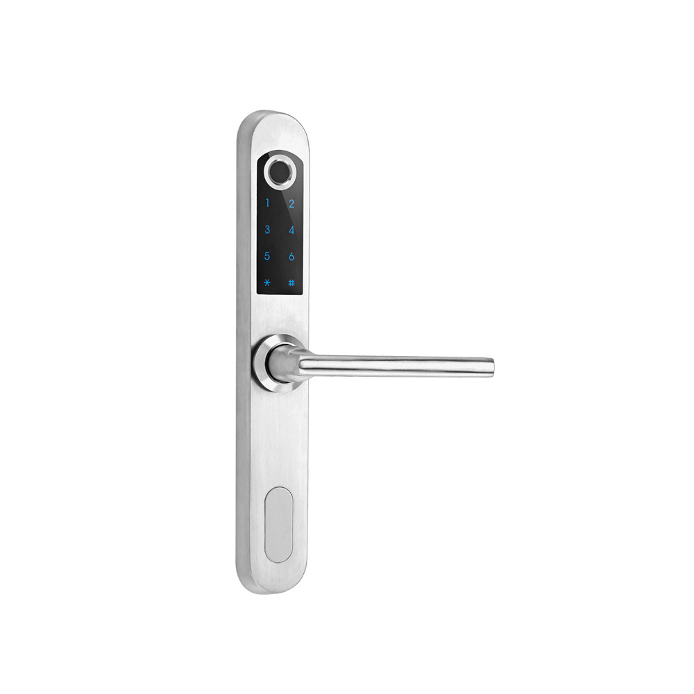 Fingerprint  Smart Door lock aluminium doors Sliding Glass Locker Lock IC Card For European Mortise