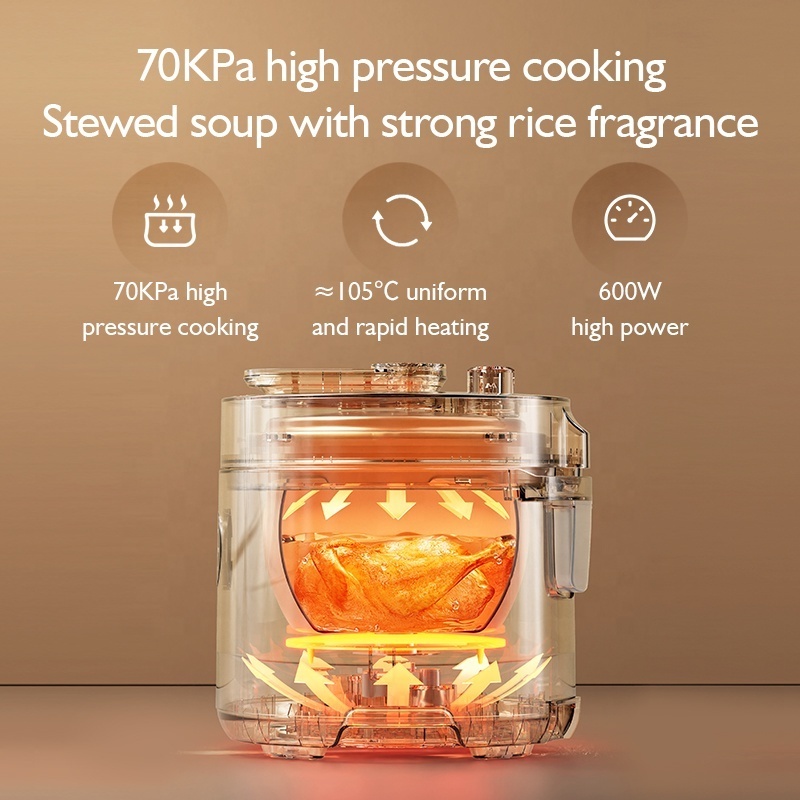 2.5 litre Multifunction Korean Style Digital Micro Pressure Pot Cooker