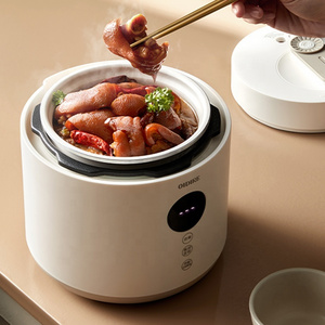 2.5 litre Multifunction Korean Style Digital Micro Pressure Pot Cooker