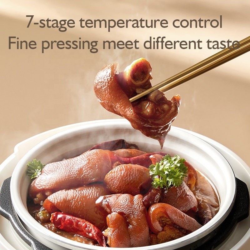 2.5 litre Multifunction Korean Style Digital Micro Pressure Pot Cooker