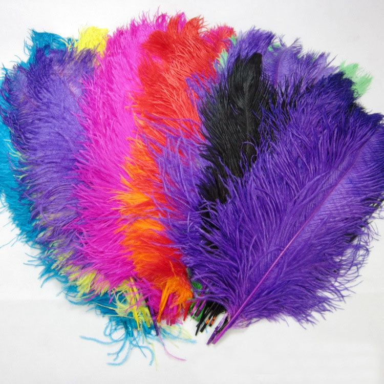 Factory Supply 50-55cm 20-22in Costume Wedding Centerpiece Carnival Natural White Ostrich Plumes Feathers for Decoration