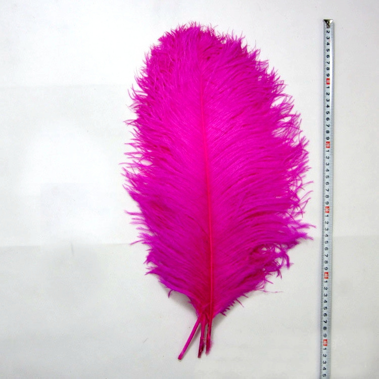 Factory Supply 50-55cm 20-22in Costume Wedding Centerpiece Carnival Natural White Ostrich Plumes Feathers for Decoration