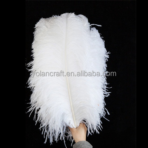 Factory Supply 50-55cm 20-22in Costume Wedding Centerpiece Carnival Natural White Ostrich Plumes Feathers for Decoration