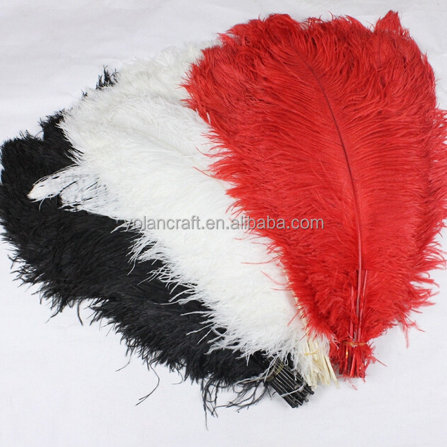 Factory Supply 50-55cm 20-22in Costume Wedding Centerpiece Carnival Natural White Ostrich Plumes Feathers for Decoration