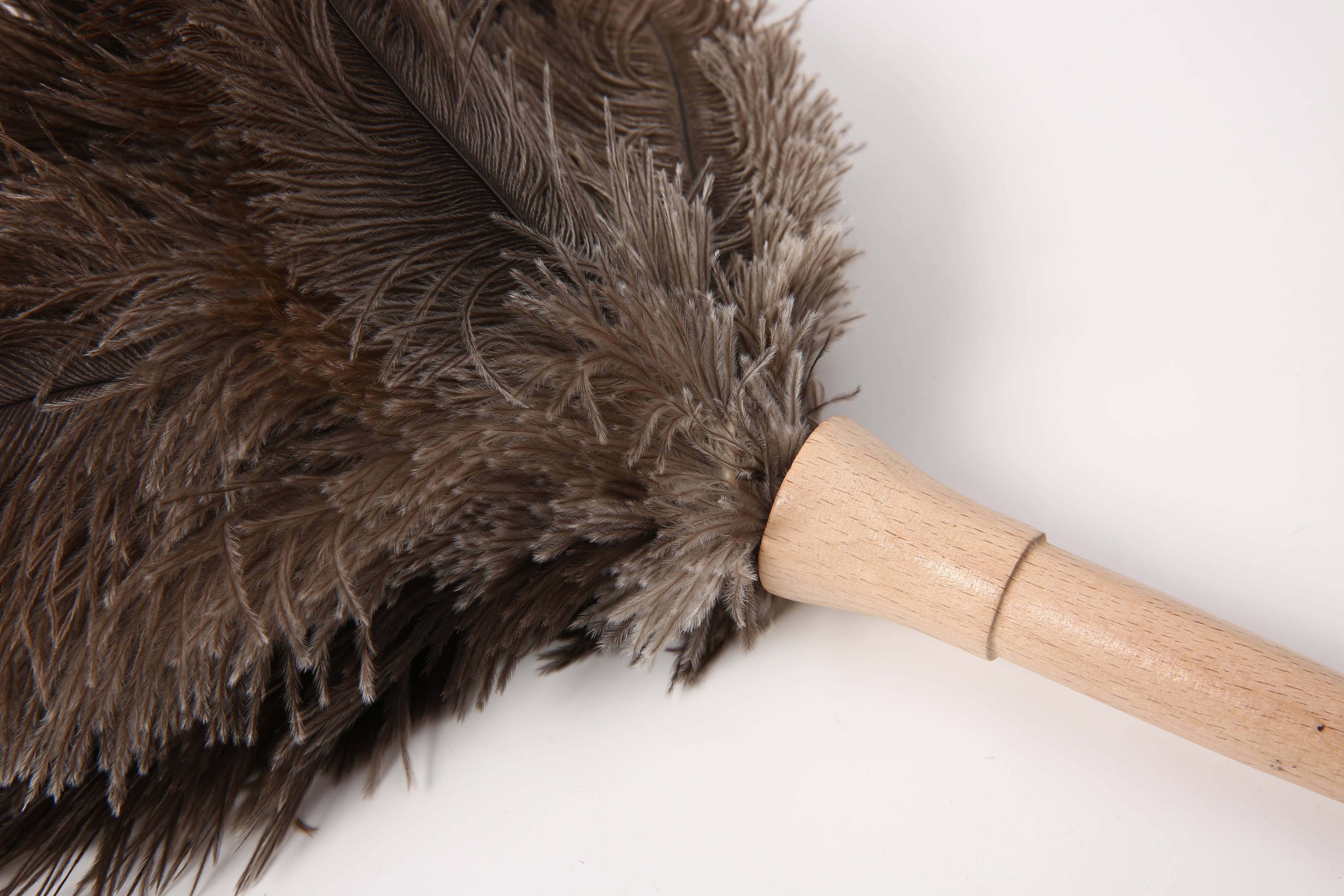 Household Cleaning Wood Long Handle Duster Ostrich Feather Cleaning Duster For Car bookcase block fragile desk office