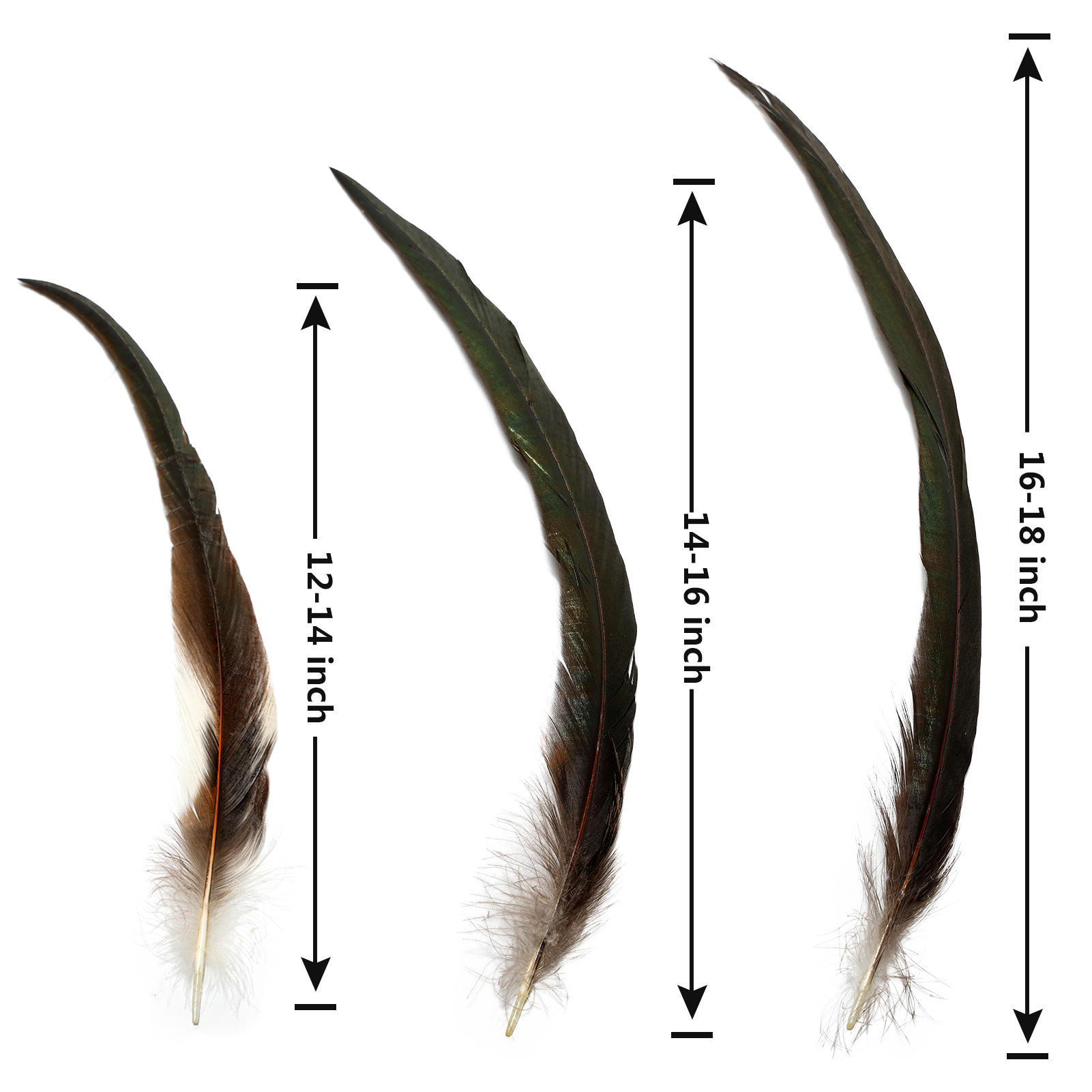 Bulk Natural 12-14-16-18Inch Rooster Coque Tail Feathers for Craft Wedding Party Hats Costume Performances DIY Decoration