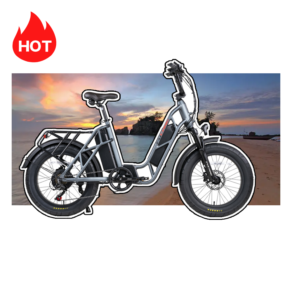 Weekly Deals FUCARE Dual Battery Bicycle Range Up to 80 Miles Beach Ebike