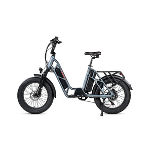 FUCARE Gemini 2022 Hot Sales Safe Frame Ebike Dual Battery Fastest Speed 28MPH E Bike