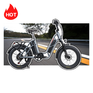 250W 500W 750W E Bike Fat Tire Electric Suspension Dual Battery Ebike