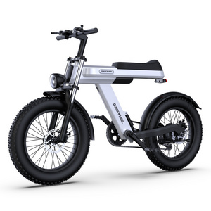 Yoloca C9 20 Inch Foldable Dual Battery 48V 15Ah 1000W Electric Bicycle 2 Wheel Adult Electric Bicycle Bike 50km/h