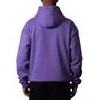 Custom Heavy Weight Gsm Hoody Hooded Fit Oversize Plain French Terry Hoodies No String Men Pull Over Thick Heavyweight Hoodie