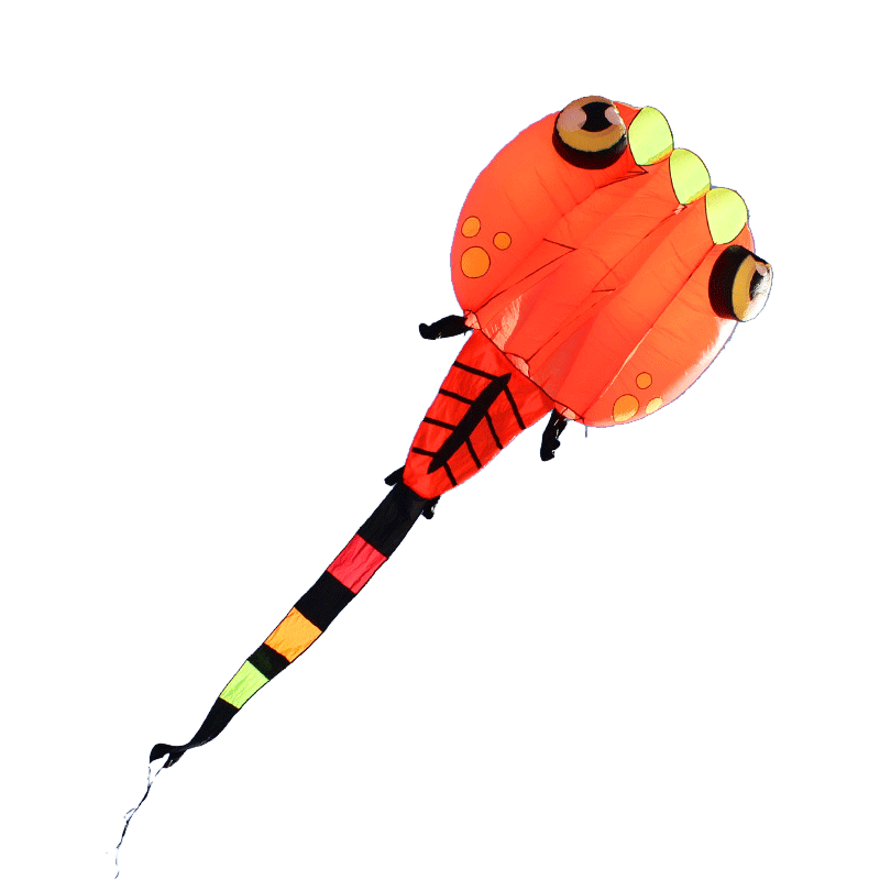 2020 large  single line aquilone professional power  soft  custom made kite for sale inflatable flying kite tube