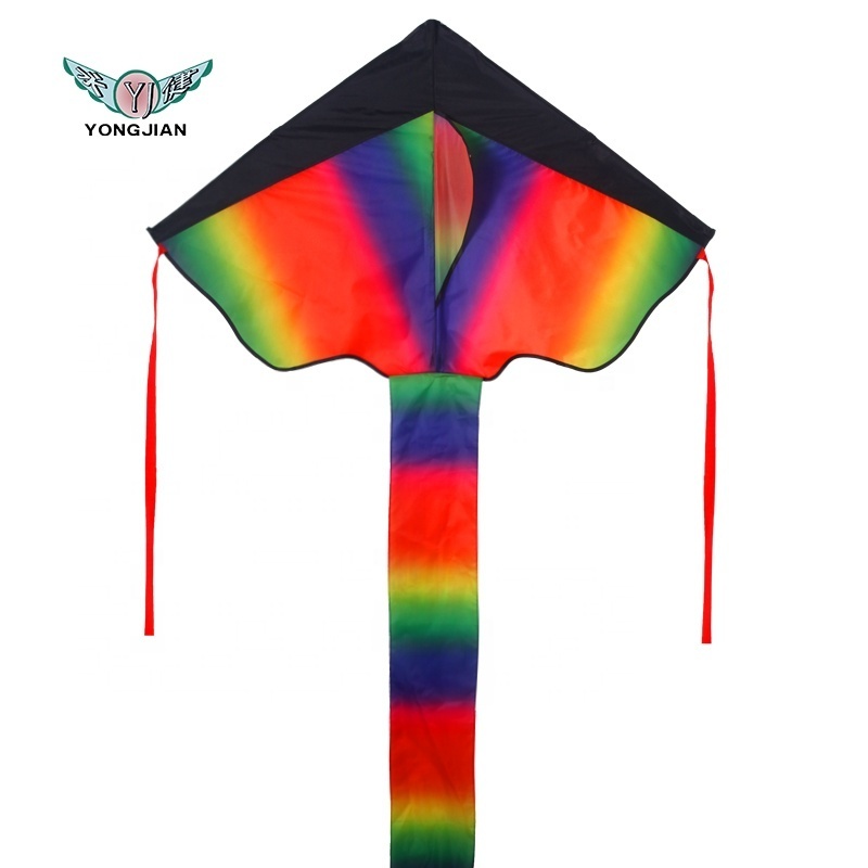 Factory Outlet Reusable Fashion easy flying  delta sport rainbow rc led kite for kids