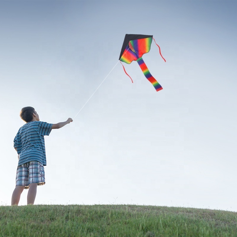 Factory Outlet Reusable Fashion easy flying  delta sport rainbow rc led kite for kids