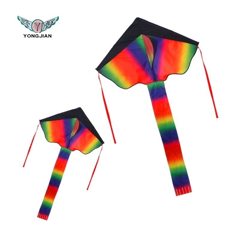 Factory Outlet Reusable Fashion easy flying  delta sport rainbow rc led kite for kids