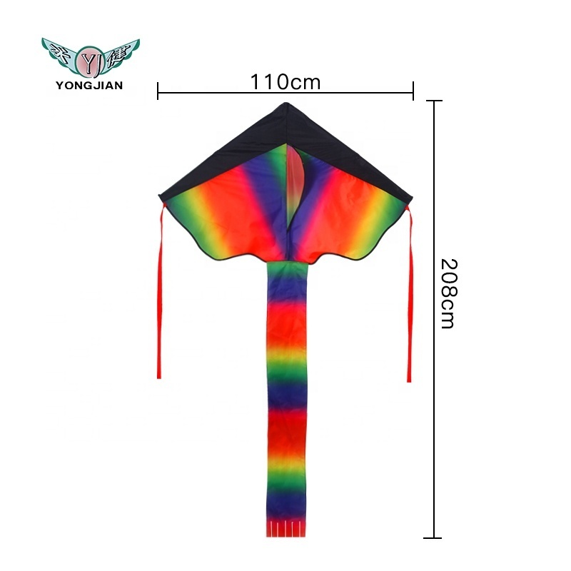 Factory Outlet Reusable Fashion easy flying  delta sport rainbow rc led kite for kids