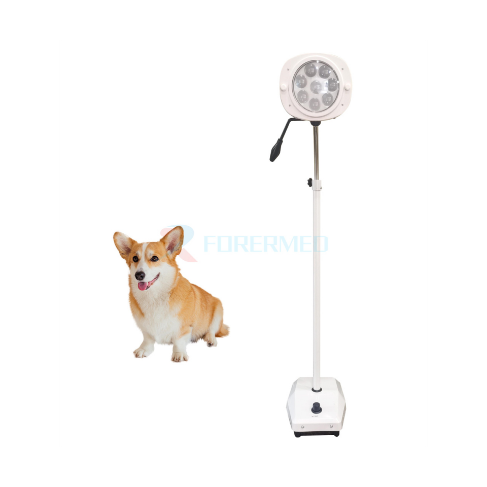 Veterinary Surgical LED Medical Operating Light Mobile Shadowless Dental LED Operating Lamp Adjustable Examination Light