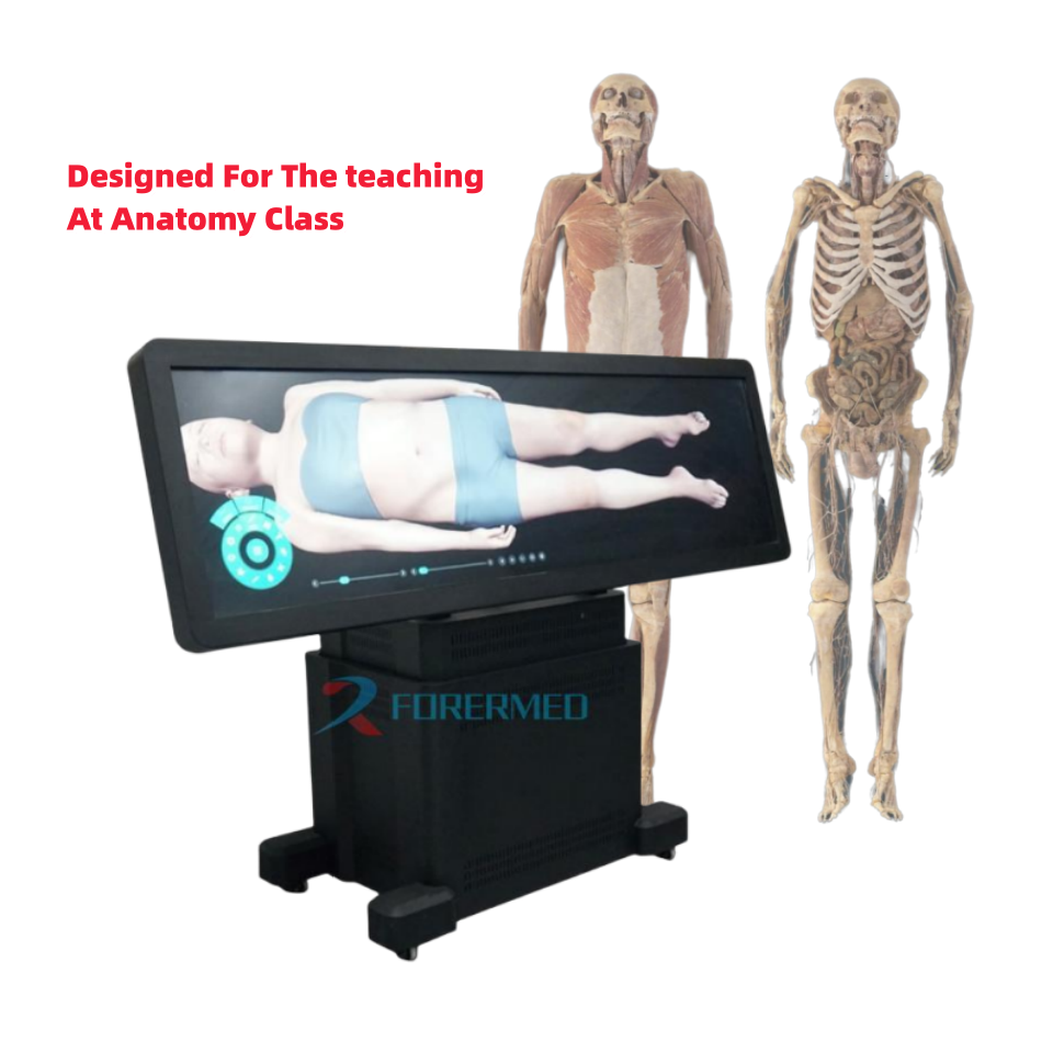 Digital human Virtual Anatomage Table Teach Autopsy Table Touch Screen 87.8 inches 3D anatomy System